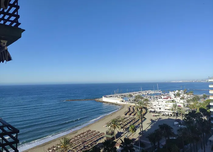 In First Line Apto 8-3 *